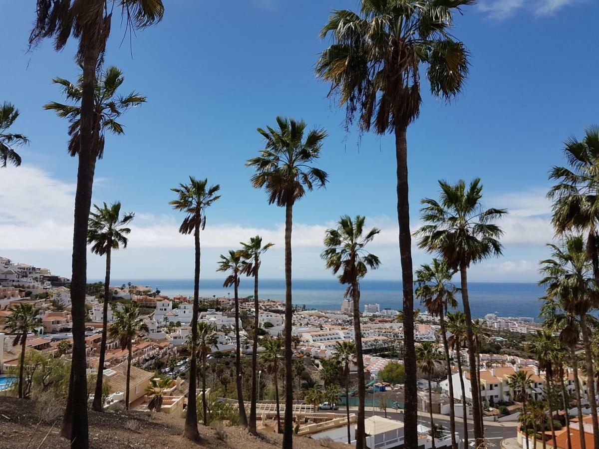 Lovely Studio Fully Equiped In Costa Adeje Exteriör bild